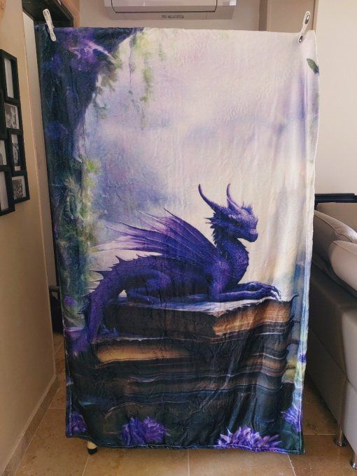 Plaid Dragon